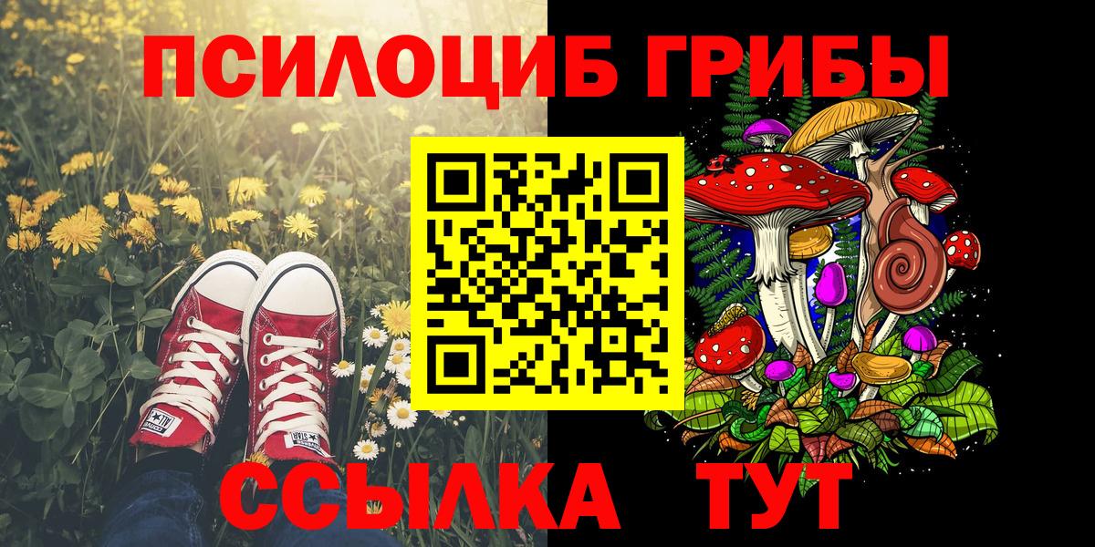 Псилоцибиновые грибы Psilocybe  сколько стоит  Вход с VPN  Оренбург  Псилоцибиновые грибы Magic Shrooms 